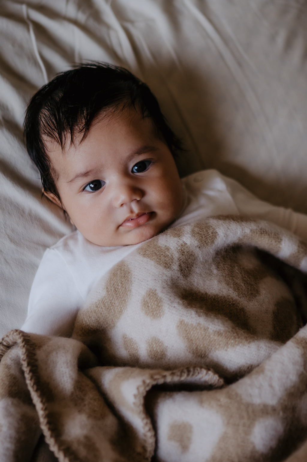 Wollen babydeken panter